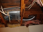 Upstairs Bathroom...Pre-trivia - a nice new light and fan vent.