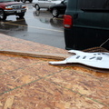 A wet, lonely guitar