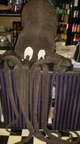The Kraken enjoys coffee when he's not all leashed up