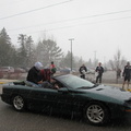 Oz and Eck brave the snow.