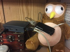 The owlbear watching over our radio encoding setup